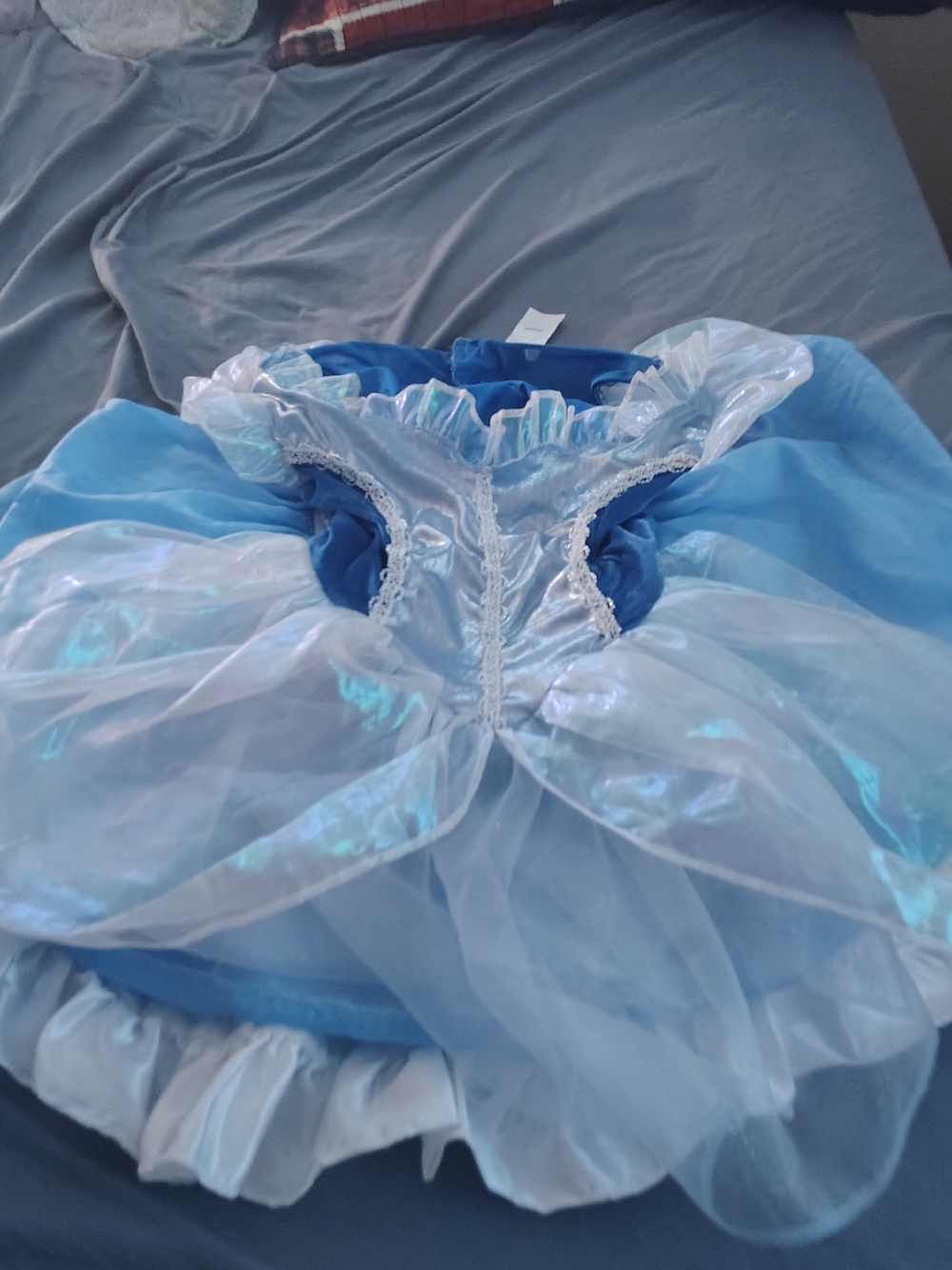 Disney deluxe Cinderella Costume